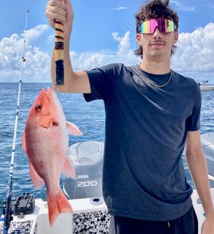 Snapper from Shalimar, FL